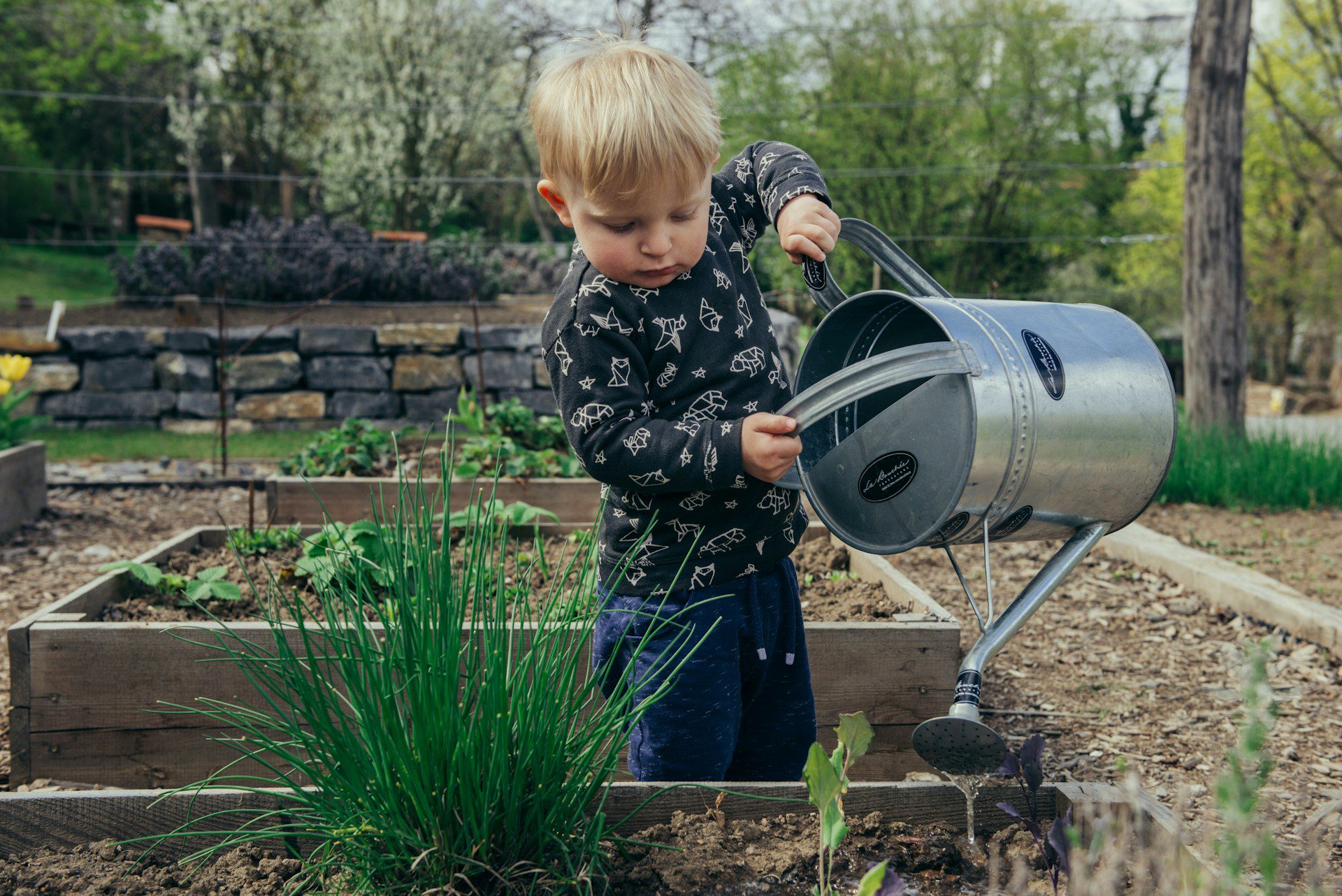 The Perils of Overwatering: A Gardener’s Guide