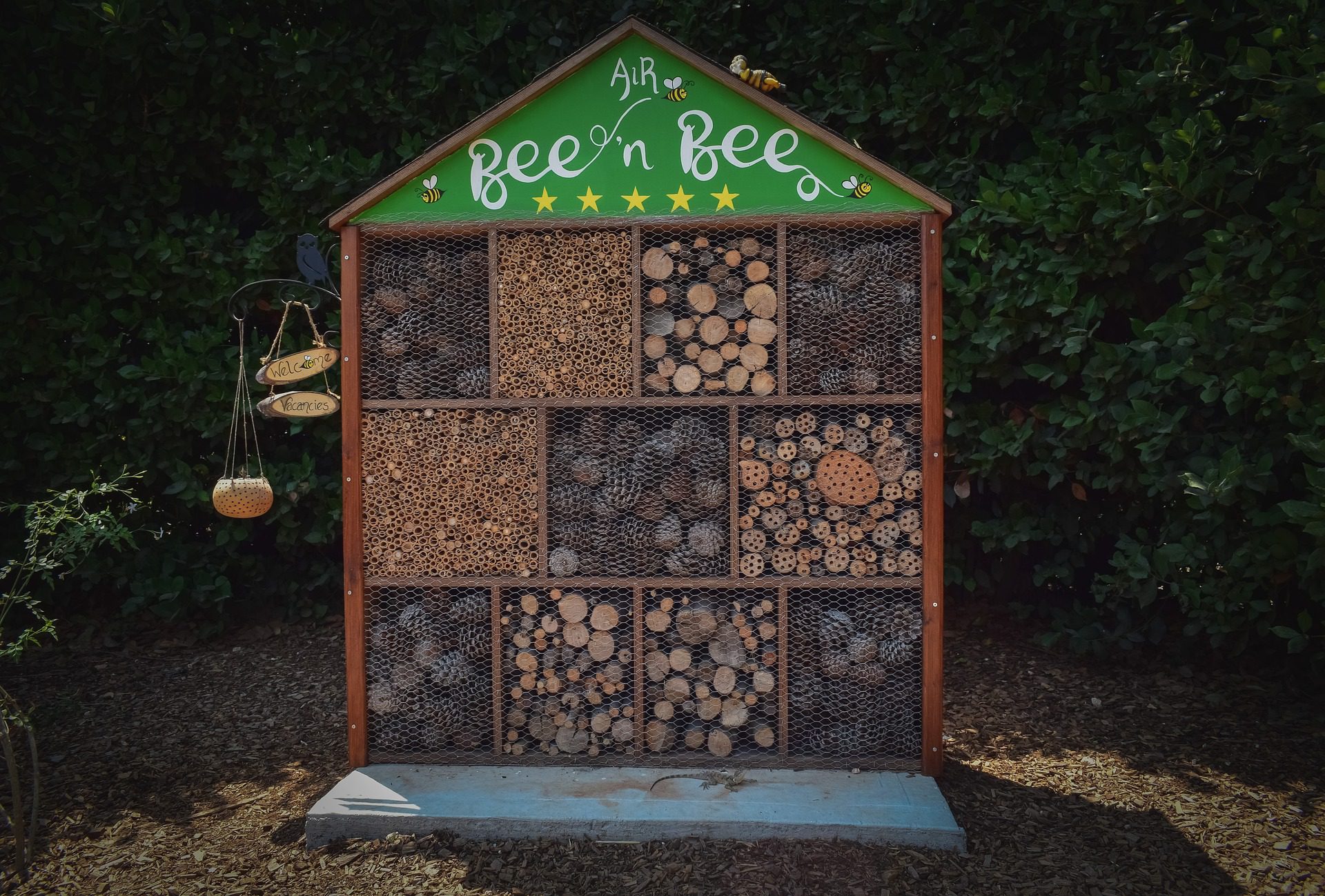 Building Bug Hotels: Creating Havens for Beneficial Insects