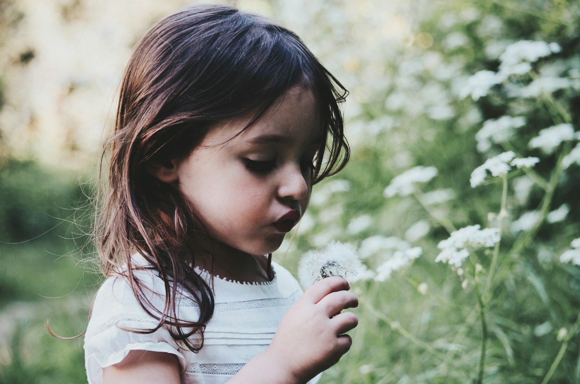 Exploring the Safest Plants for Kids